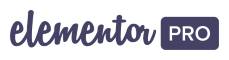 ELEMENTOR PRO