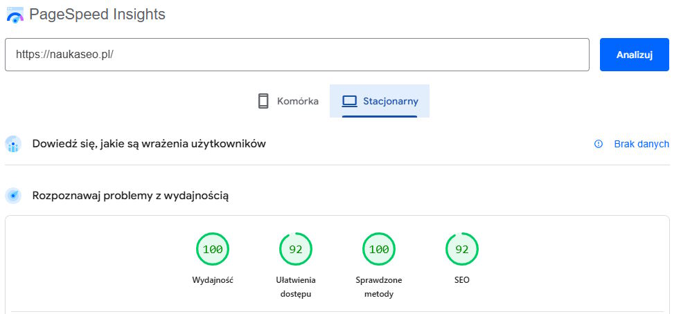 wynik szybkości strony internetowej na WordPress w PageSpeed Insight